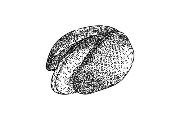 Download Ingredient Pistachio Nut Sketch Hand Dra - Premium Resources